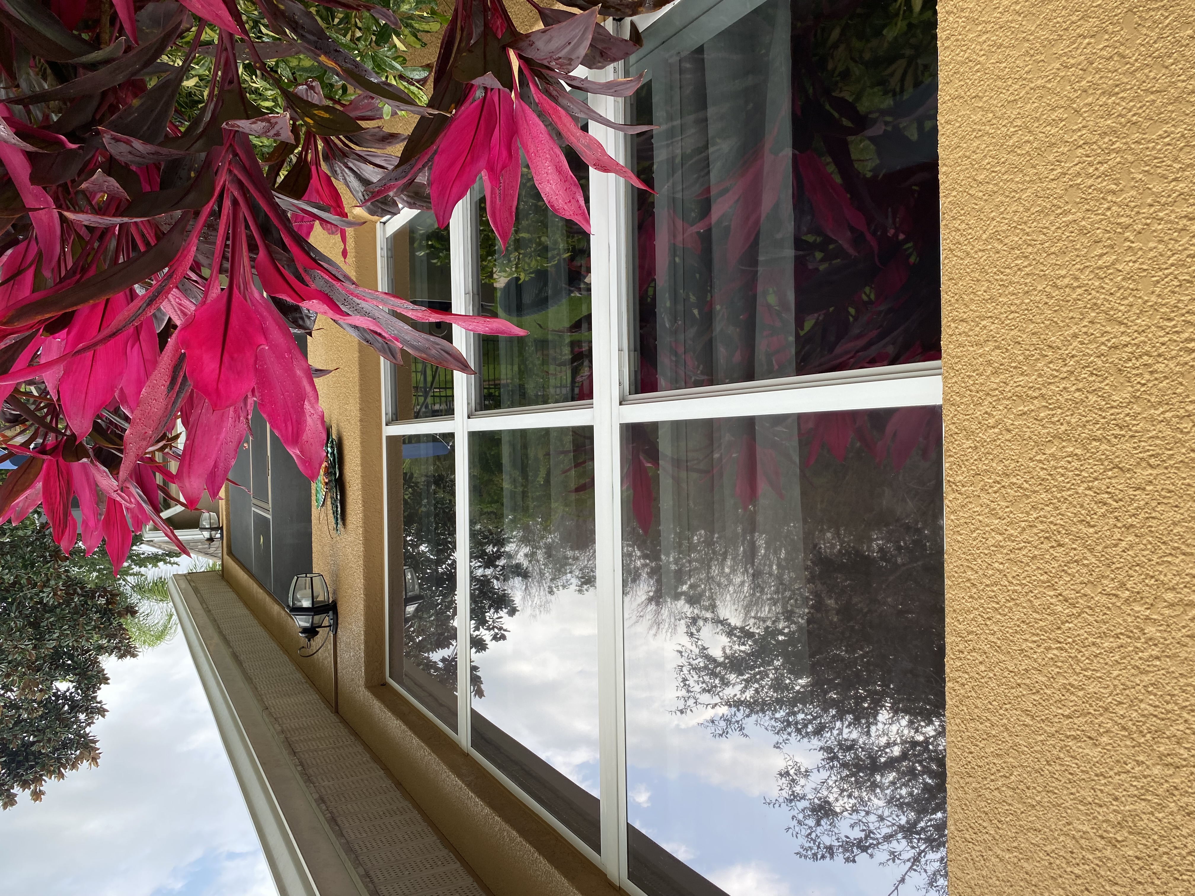 Crystal-Clear Window Cleaning in Windermere, FL